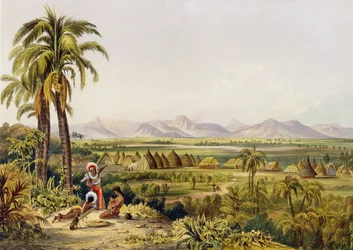 Pirara and Lake Amucu, The Site of Eldorado, printed by Georges Barnard, from 